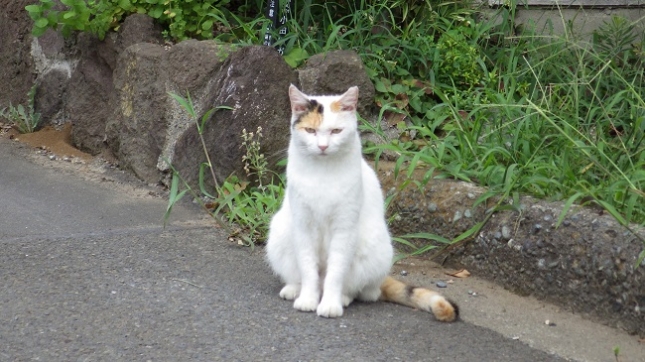 0416-08-27006目を開けて寝ていました