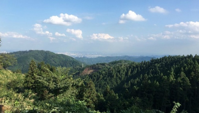 131小仏峠tmp_imgresize