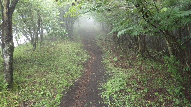 014明神峠ロード