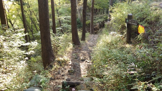 ⑨275大山裏参道