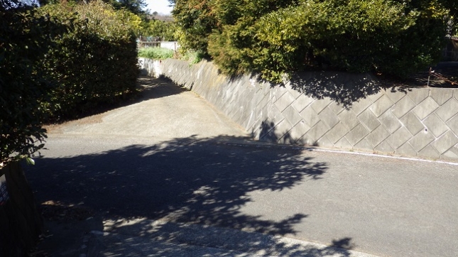 ⑩062曽我丘陵170204