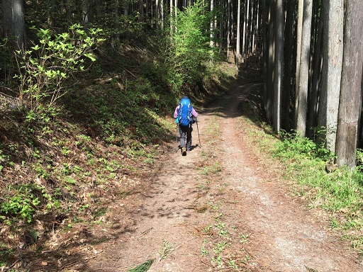 7cc114c4438aebdc3e86c34d614ef23ac