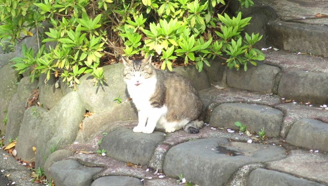 01020朝日が眩しいぜ