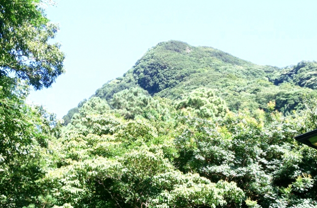 42沼津アルプス