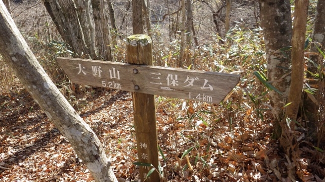⑪074神縄トンネル辺り