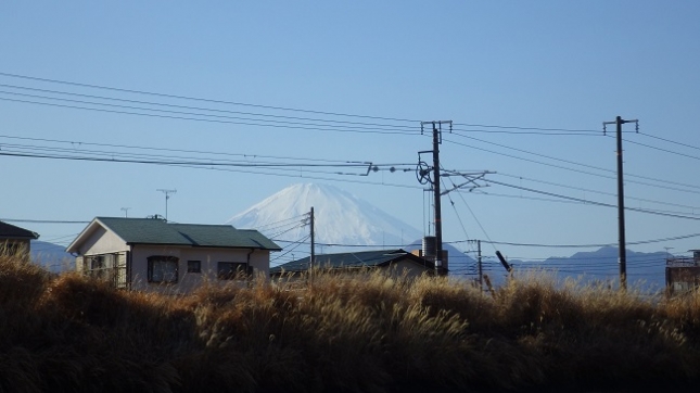 190小田原梅祭り170204