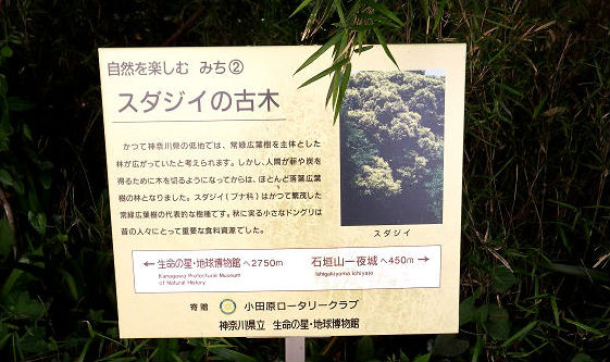 172入生田駅まで3050ｍ