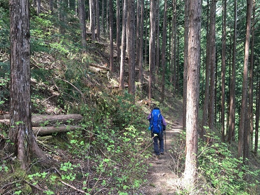 8cb5ee6ef6987b28a27963b8de883e27e