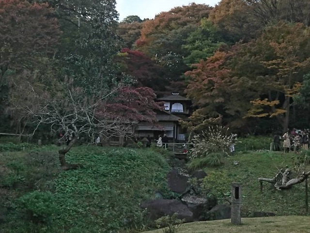 IMG_0424 - コピー