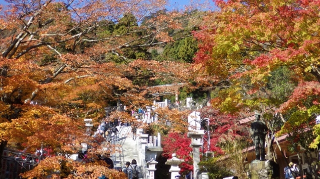 ⑦101阿夫利神社下社鳥居