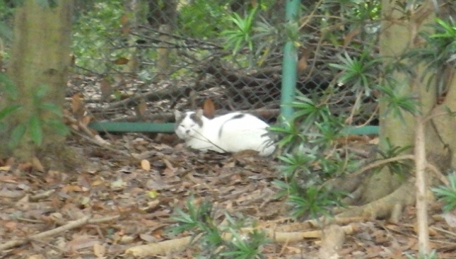 ①031650向こう側に行きたいのですが