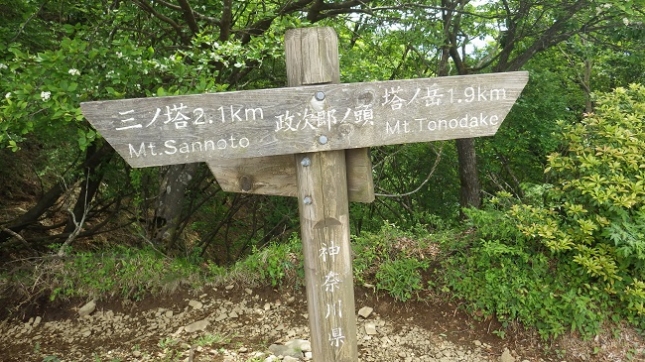 ⑬169政次郎ノ頭