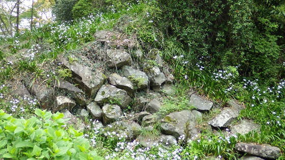120二の丸石垣