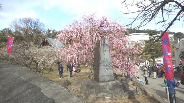 ⑳135瑞雲寺170212