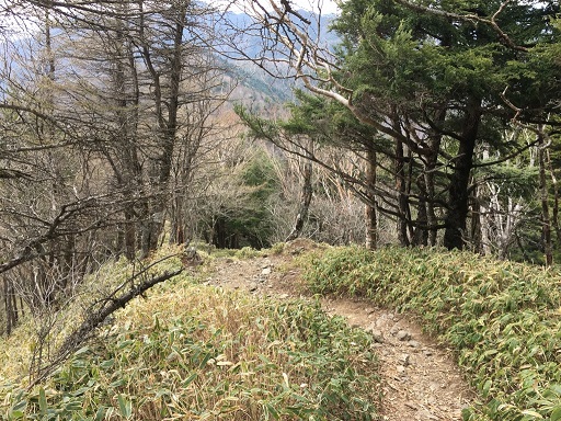 9ba031518222c4f01a9efe30db9b64