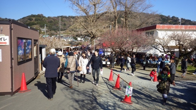②⑤218小田原梅祭り170204