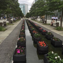 CAD　求人　アルファコーポレーション