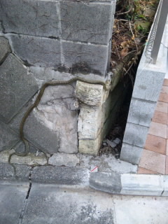 CAD　求人　アルファコーポレーション