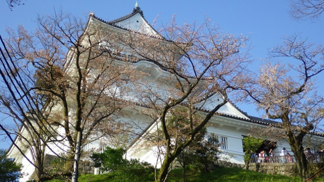 ④037小田原城170416