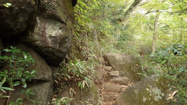 011弁慶茶屋跡へ山道