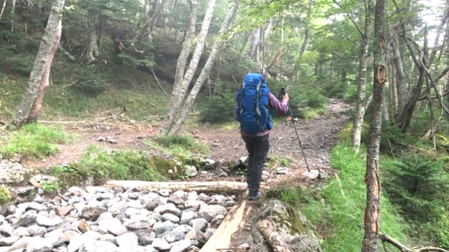 井上小屋跡後tmp_imgresize