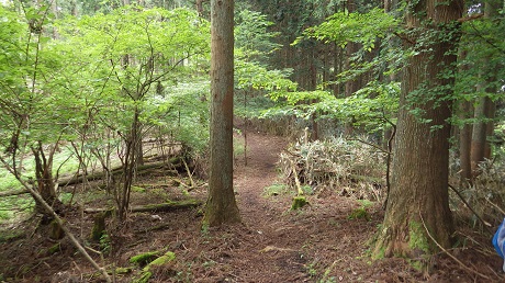 035分岐前の山道