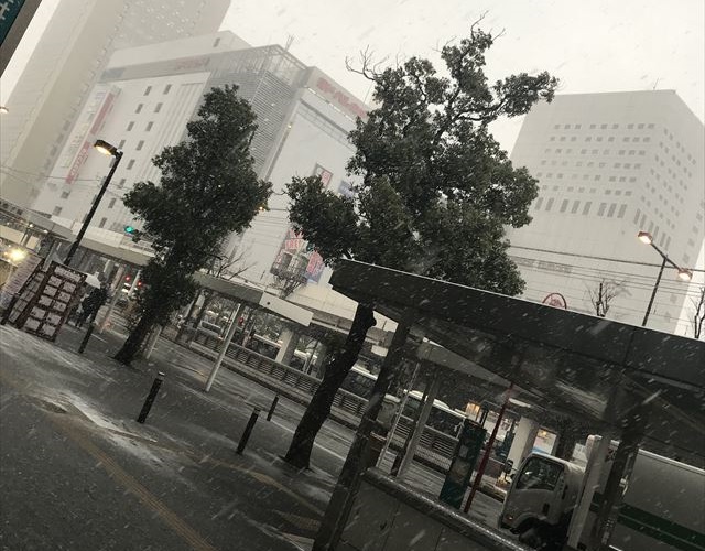 IMG_1913_R　カット