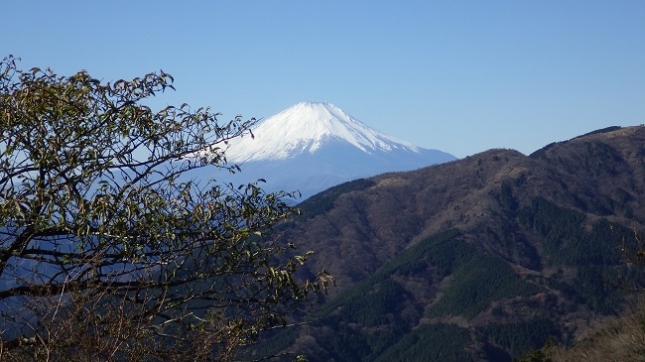 ⑧177大山登山道20丁目富士見台