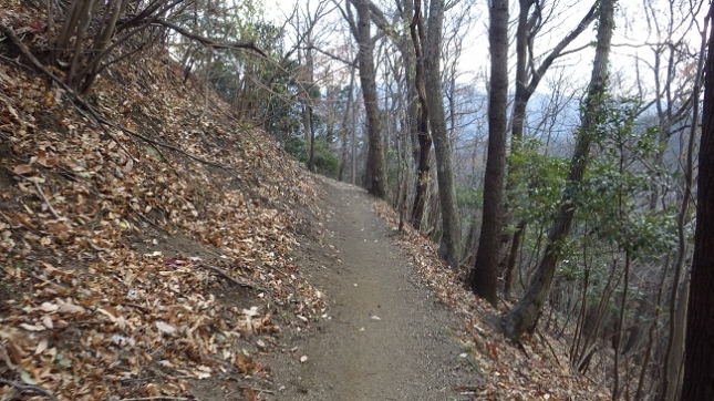 ⑤189地蔵岩コース