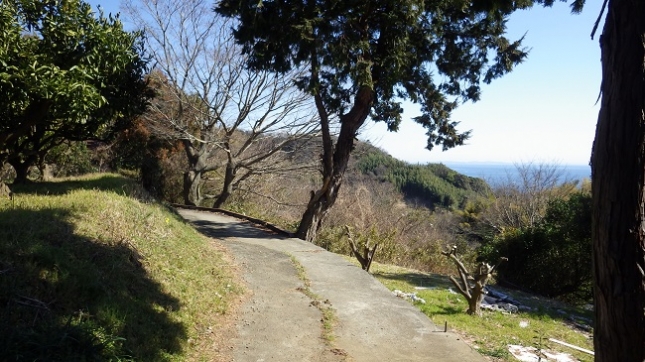 ⑤030曽我丘陵170204