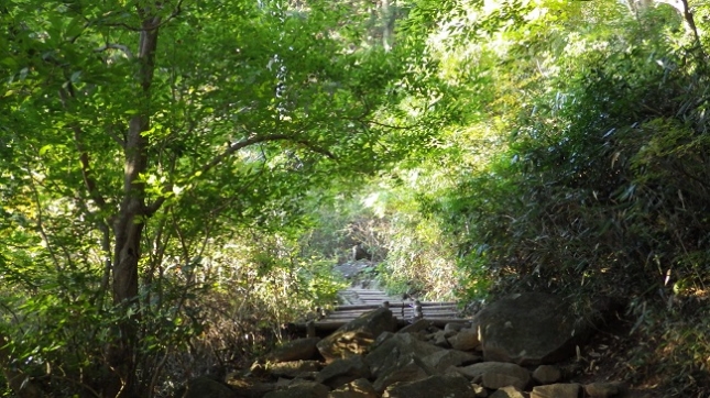 32御幸ヶ原コース