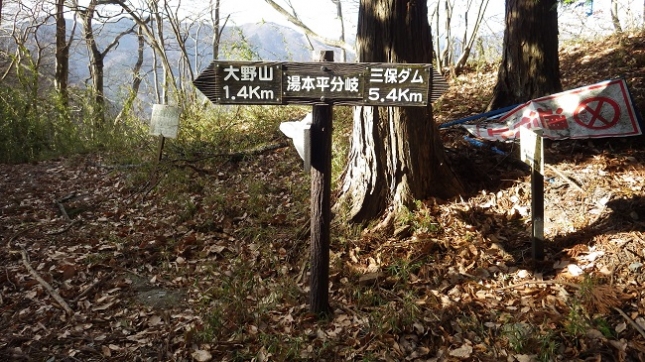 ⑧115湯本平分岐