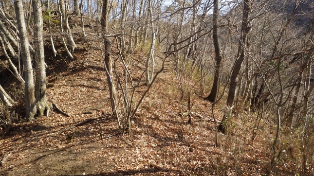 ①075丹沢湖大野山線