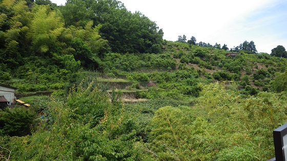 195入生田駅まで1400ｍ