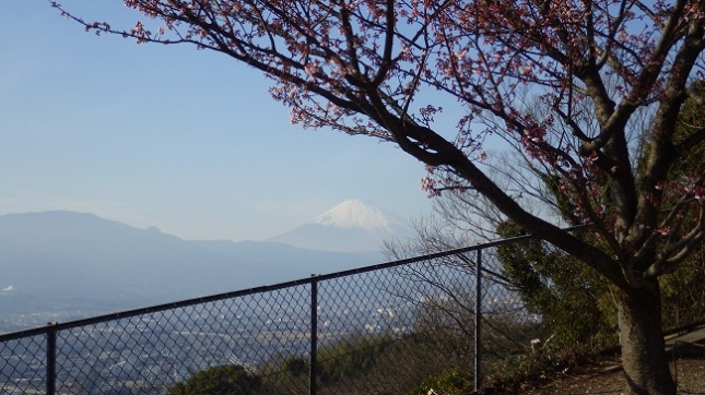 ⑧077西山団体営農道建設記念碑