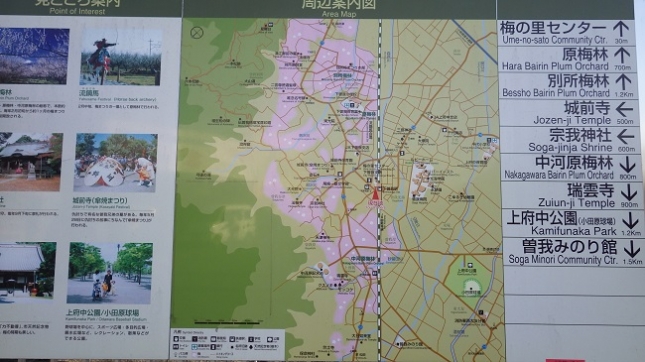 284小田原梅祭り170204