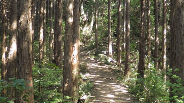 036和田第二尾根分岐