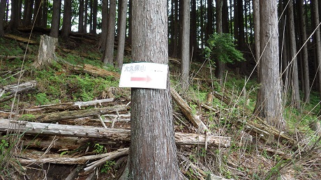 028大久保山入口