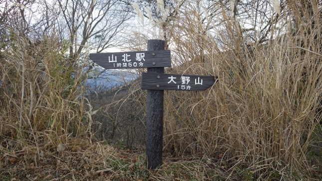 ③184地蔵岩コース