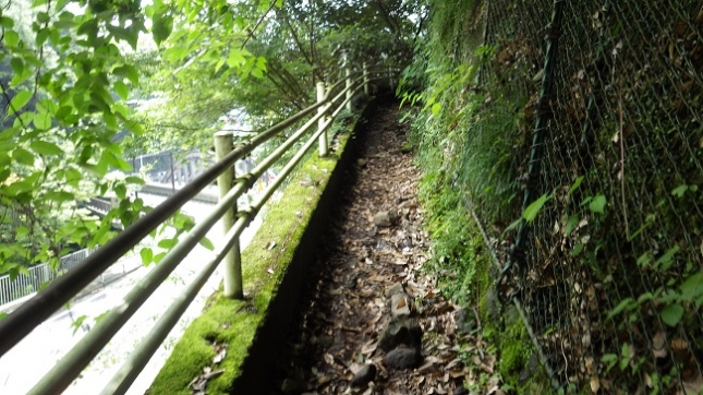 017湯坂路登り始め