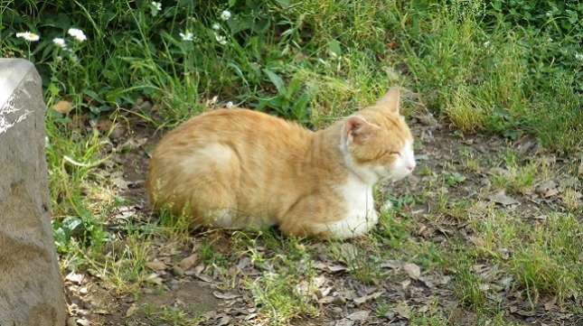 ⑦020650版座りすぎて地面にくっ付いた