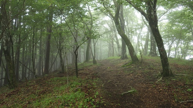 027三国山へロード