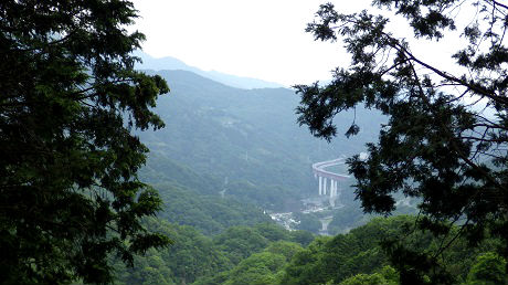 023木々の間景色