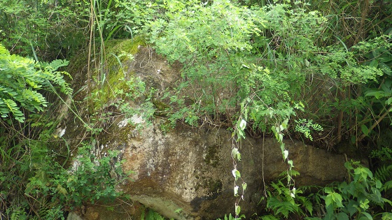 190入生田駅まで1700ｍ