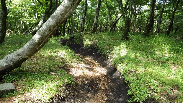 045楢木山からの道