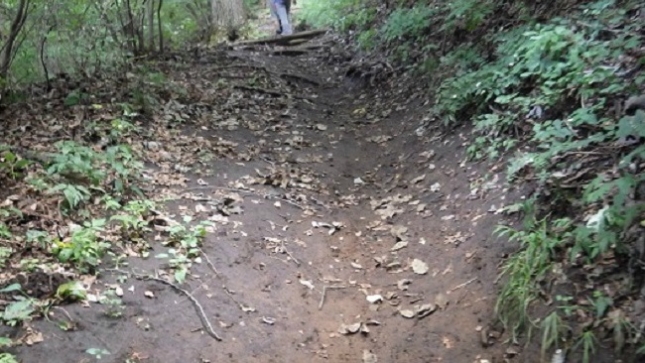 042和田尾根分岐