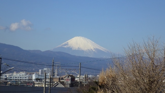 ④018曽我丘陵170204