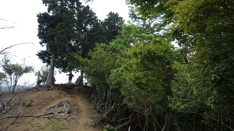 074視野が開けた道