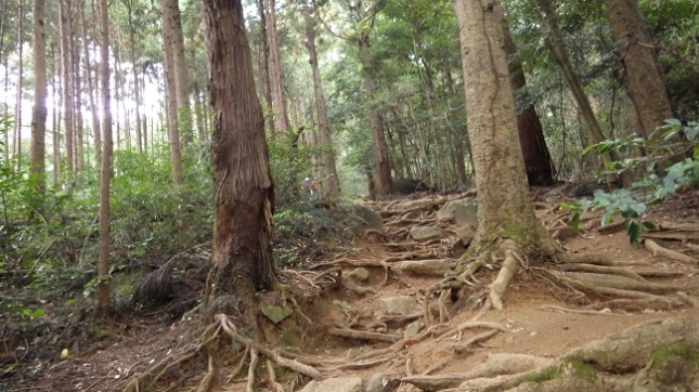 008白雲橋コース