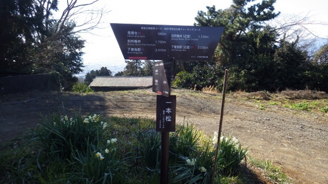 ⑬098曽我丘陵170204 (1)